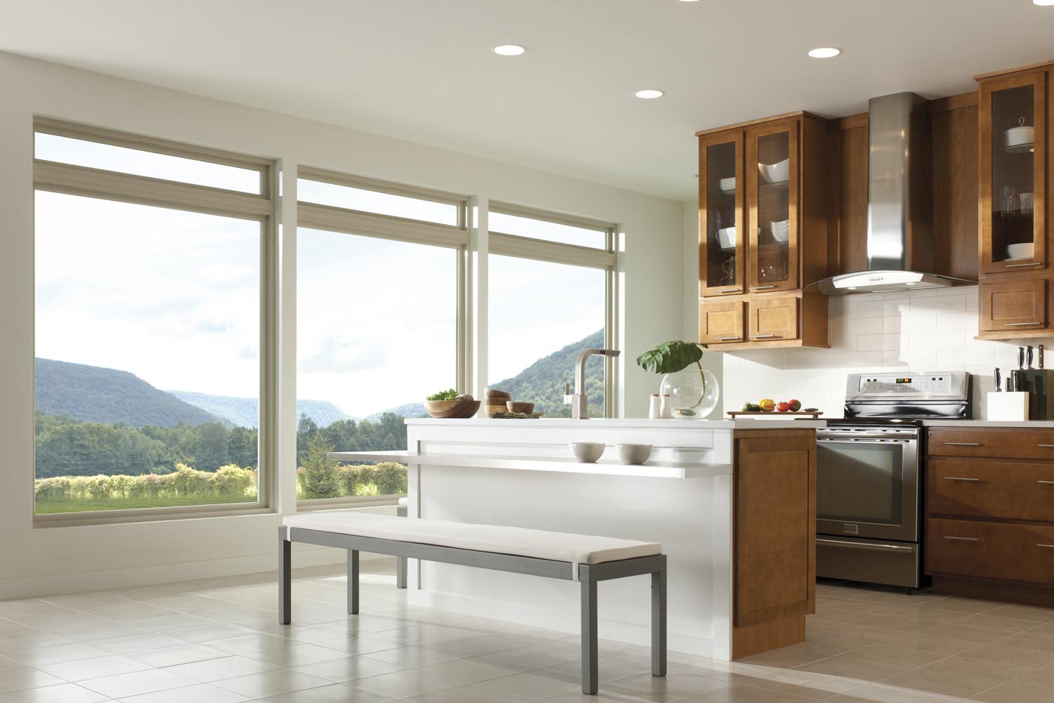 Large window kitchen design